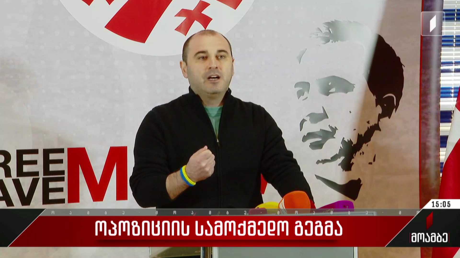 ოპოზიციის გეგმები