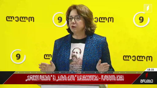 „ქართული ოცნების“ და „ხალხის ძალის“ გადაწყვეტილება - ოპოზიციის გეგმა