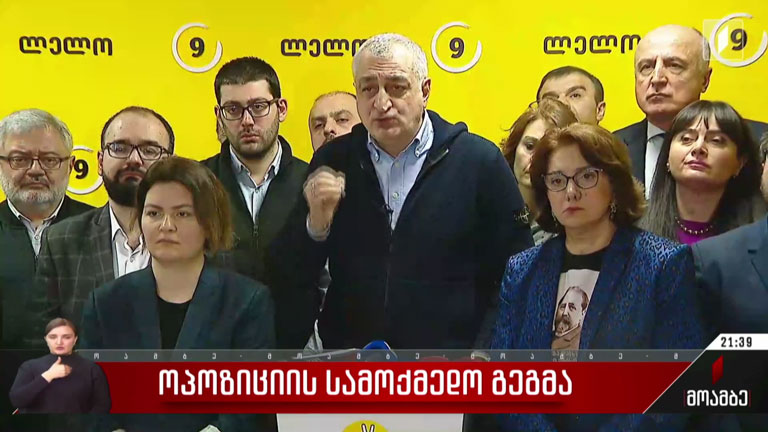 ოპოზიციის სამოქმედო გეგმა