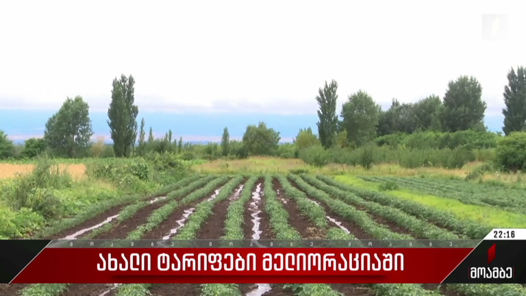 ახალი ტარიფები მელიორაციაში