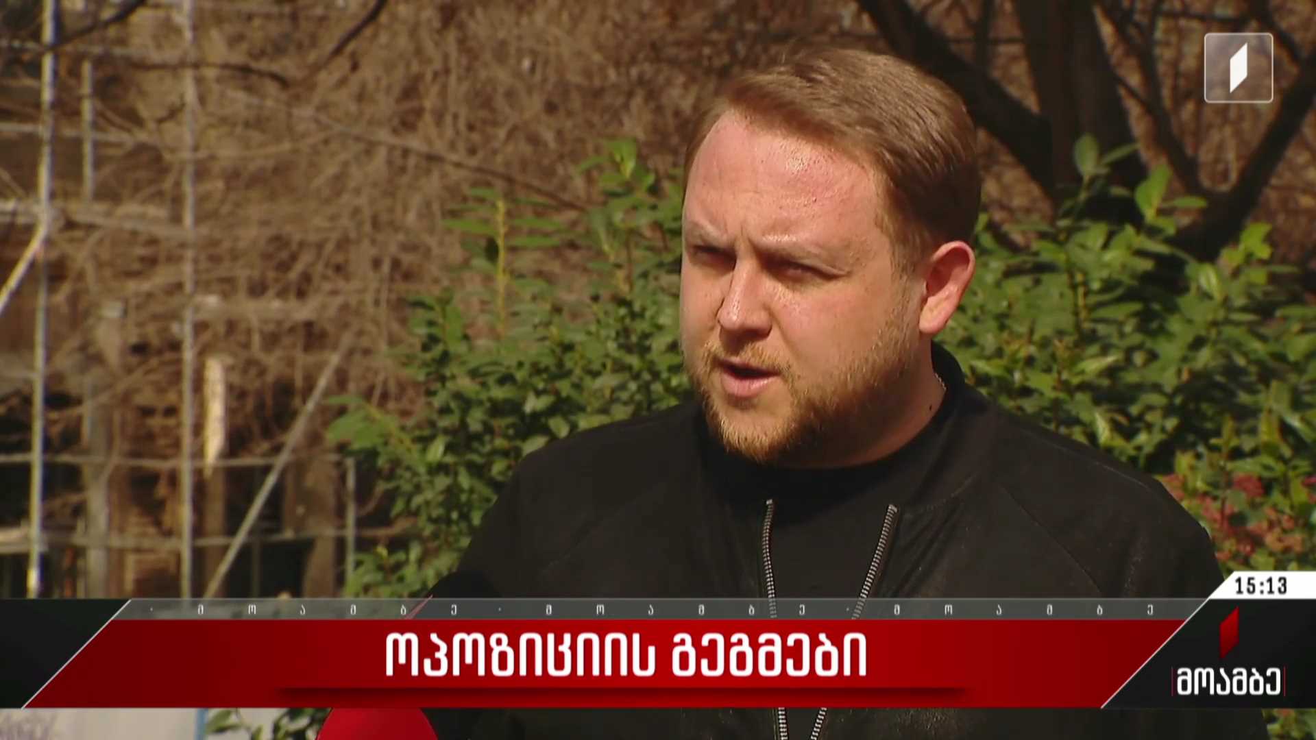  ოპოზიციის გეგმები
