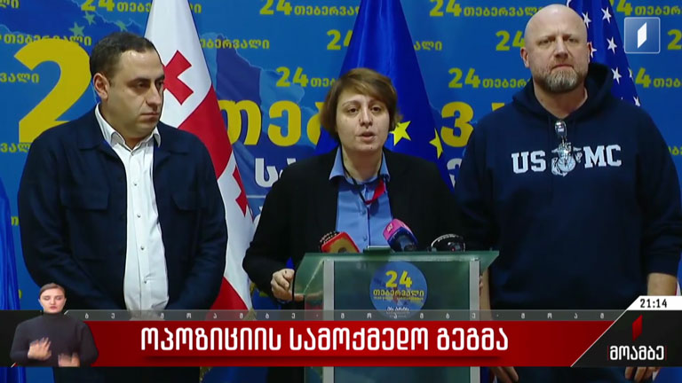 ოპოზიციის სამოქმედო გეგმა