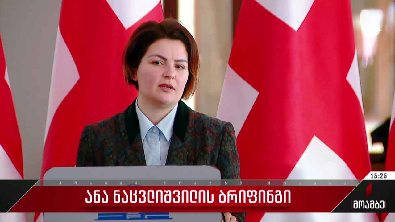 ანა ნაცვლიშვილის ბრიფინგი