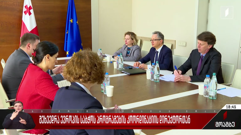 შეხვედრა ევროპის საბჭოს პროგრამების კოორდინაციის დირექტორთან