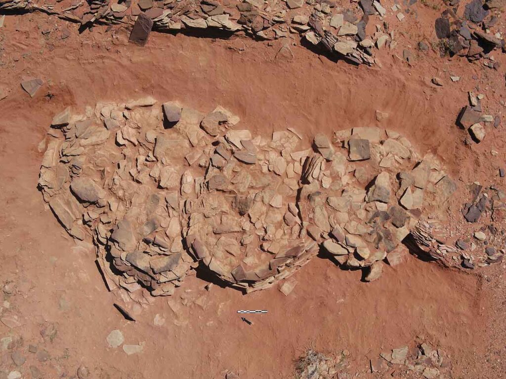 არაბეთის უდაბნოში აღმოჩენილი უძველესი სტრუქტურები გაურკვეველ ანტიკურ რიტუალებზე მიუთითებს — #1tvმეცნიერება