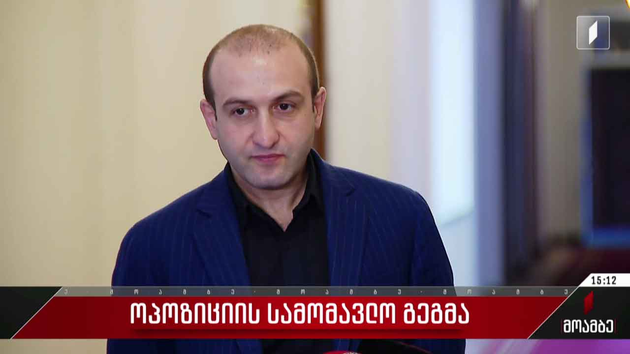 ოპოზიციის სამომავლო გეგმა