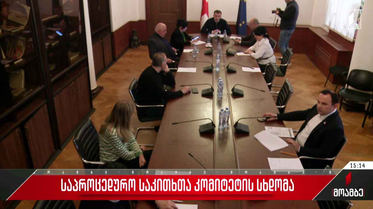 საპროცედურო საკითხთა კომიტეტის სხდომა