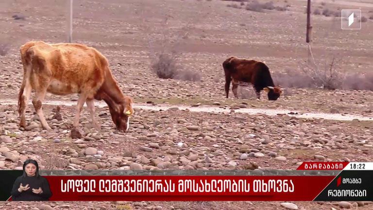 სოფელ ლემშვენიერას მოსახლეობის თხოვნა