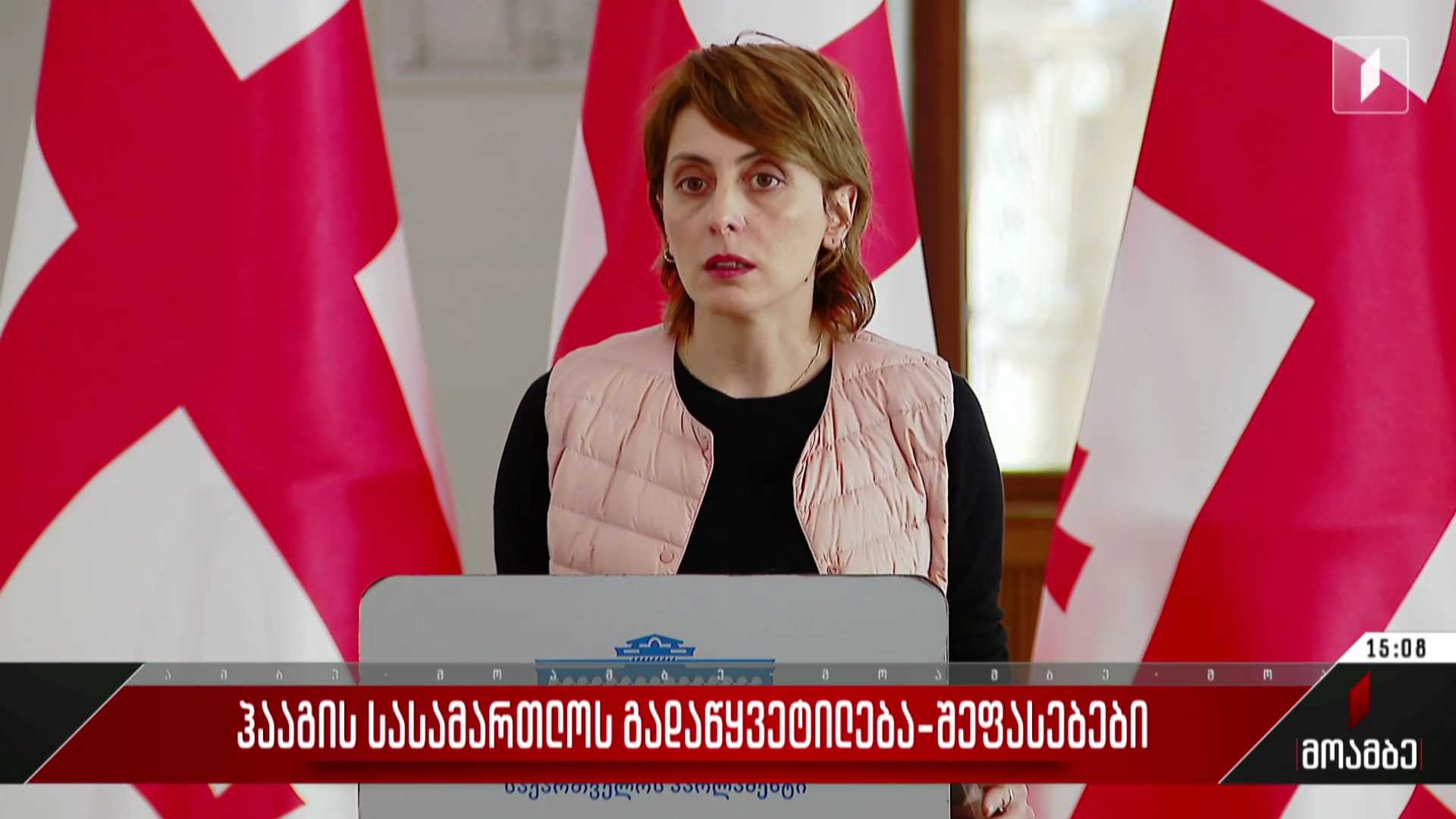 ჰააგის სასამართლოს გადაწყვეტილება - შეფასებები პოლიტიკურ სპექტრში