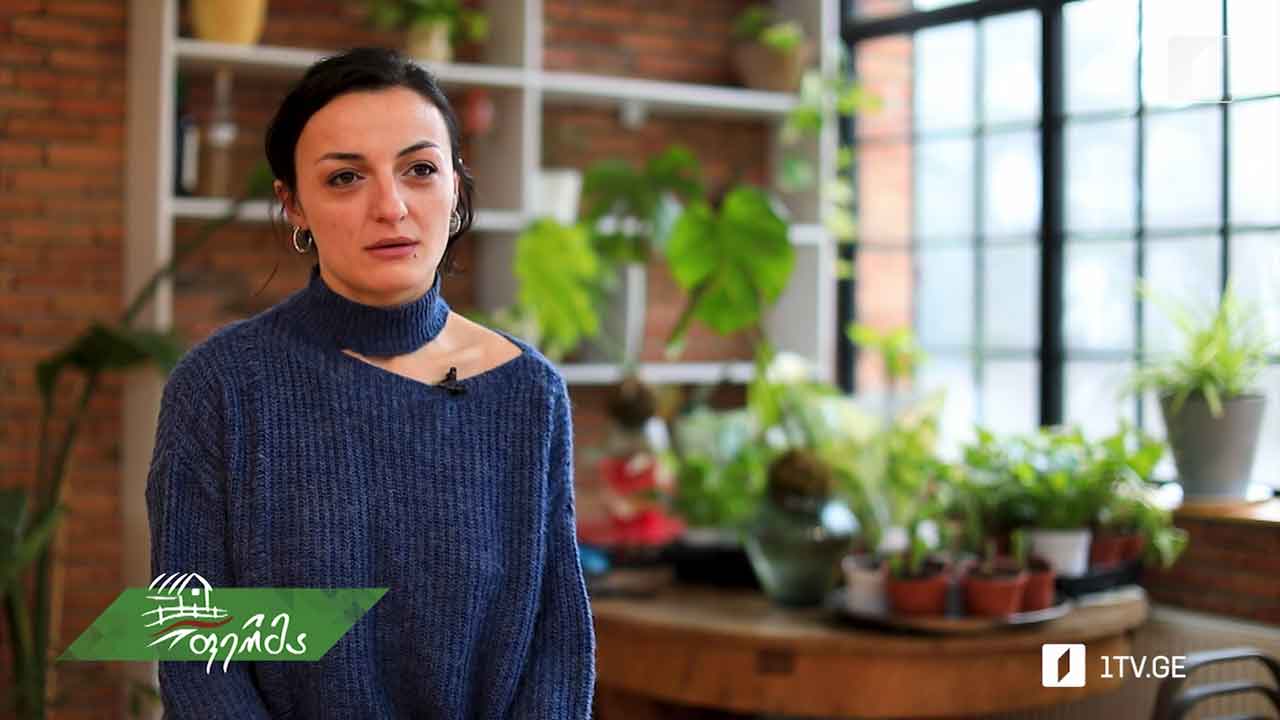 „მცენარეების სასტუმრო“ - ინოვაციური იდეა ქართულ რეალობაში