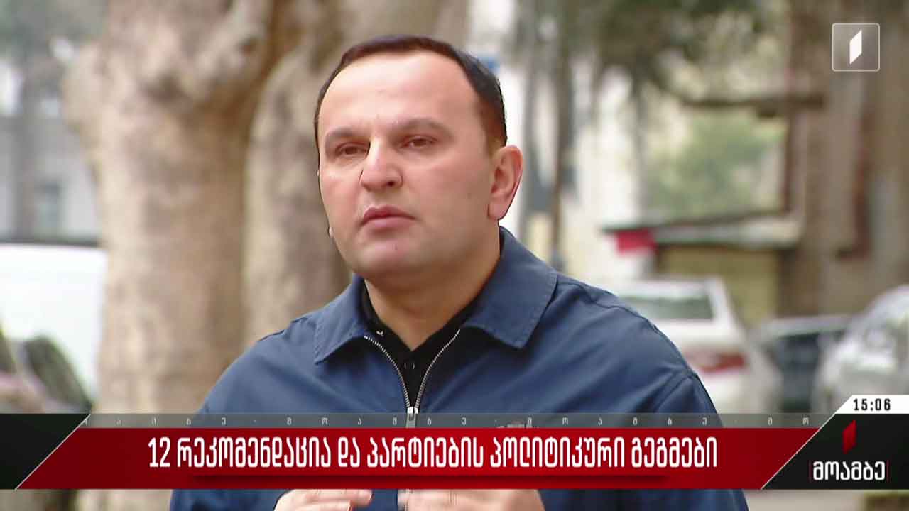 12 რეკომენდაცია და პარტიების პოლიტიკური გეგმები