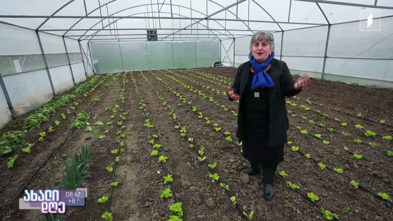 55 წლის ასაკში შეცვლილი პროფესია და ახდენილი ოცნება