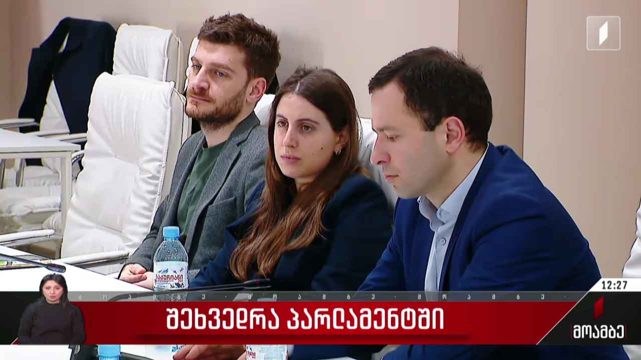 შეხვედრა პარლამენტში