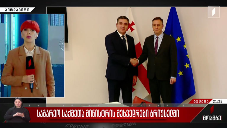 საგარეო საქმეთა მინისტრის შეხვედრები ბრიუსელში