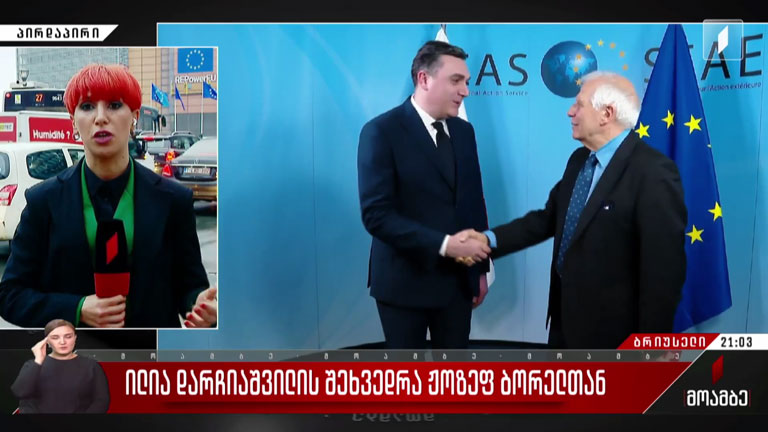 ილია დარჩიაშვილის შეხვედრა ჟოზეფ ბორელთან