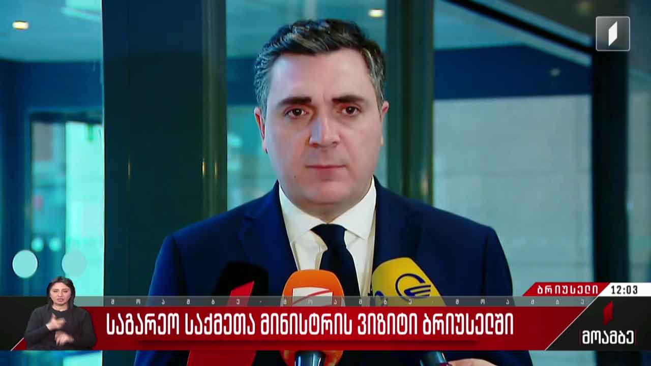 საგარეო საქმეთა მინისტრის ვიზიტი ბრიუსელში