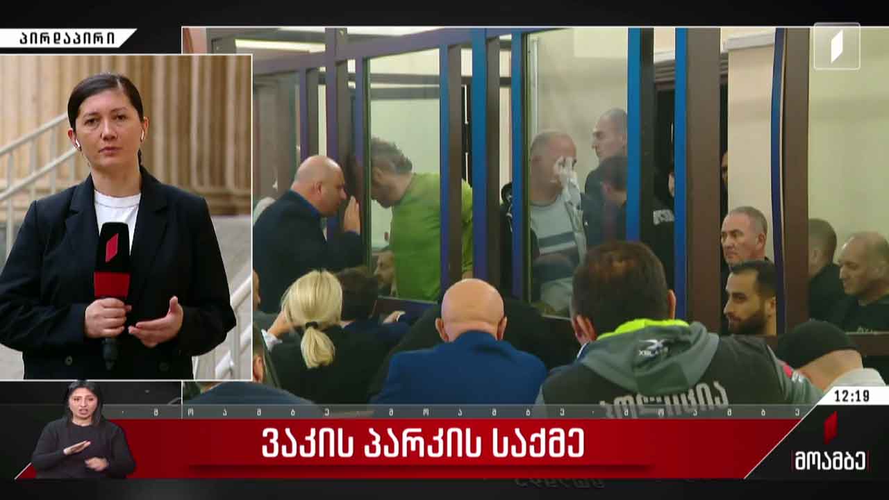 ვაკის პარკის საქმის არსებითი განხილვა