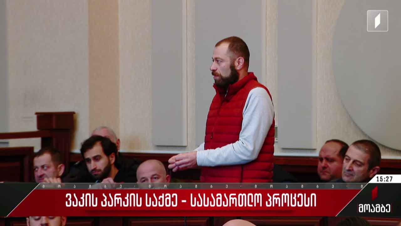 ვაკის პარკის საქმე - სასამართლო პროცესი