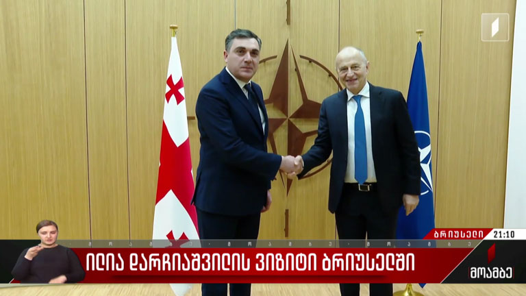 ილია დარჩიაშვილის ვიზიტი ბრიუსელში
