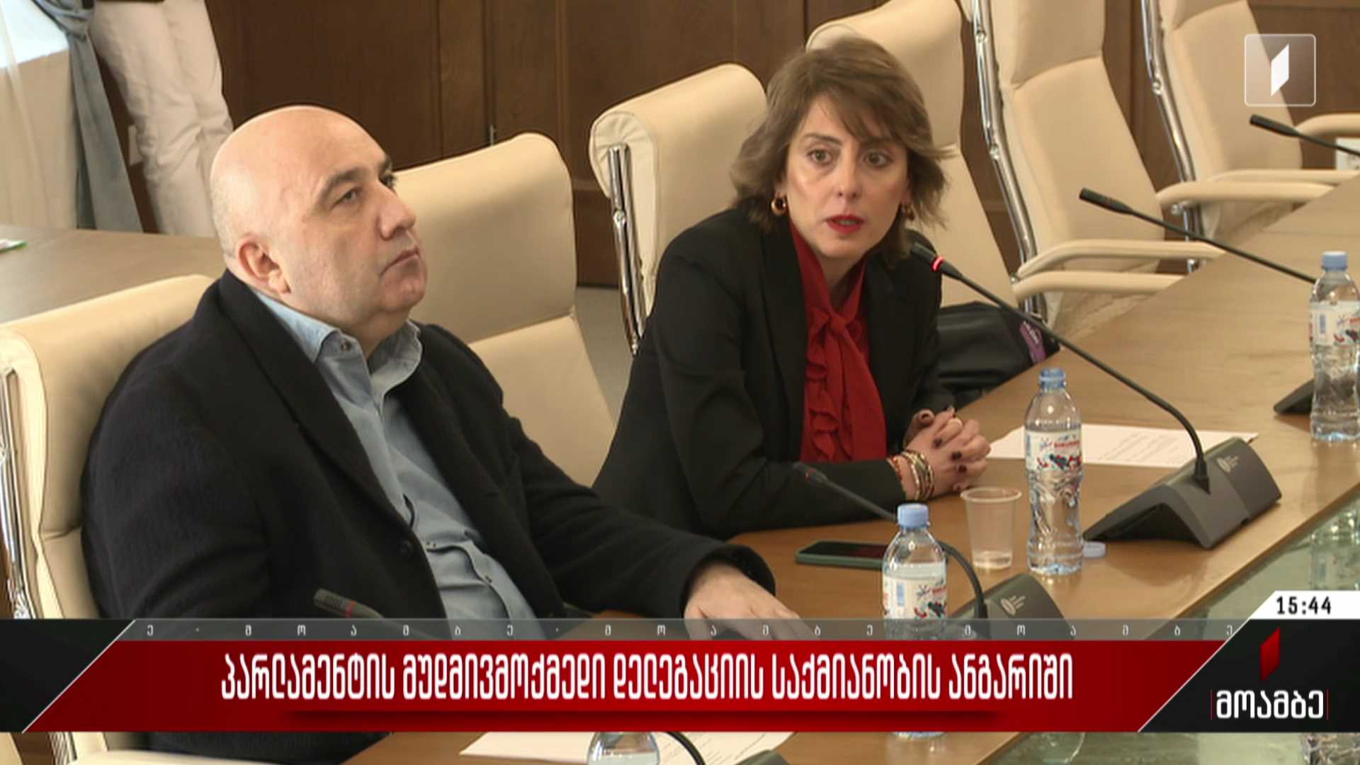 პარლამენტის მუდმივმოქმედი დელეგაციის საქმიანობის ანგარიში