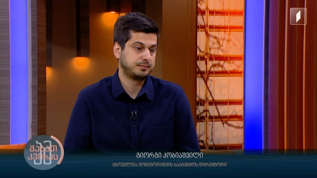 მიუსაფარი ცხოველები თბილისში და ცხოველთა მონიტორინგის სააგენტოს მთავარი გამოწვევები