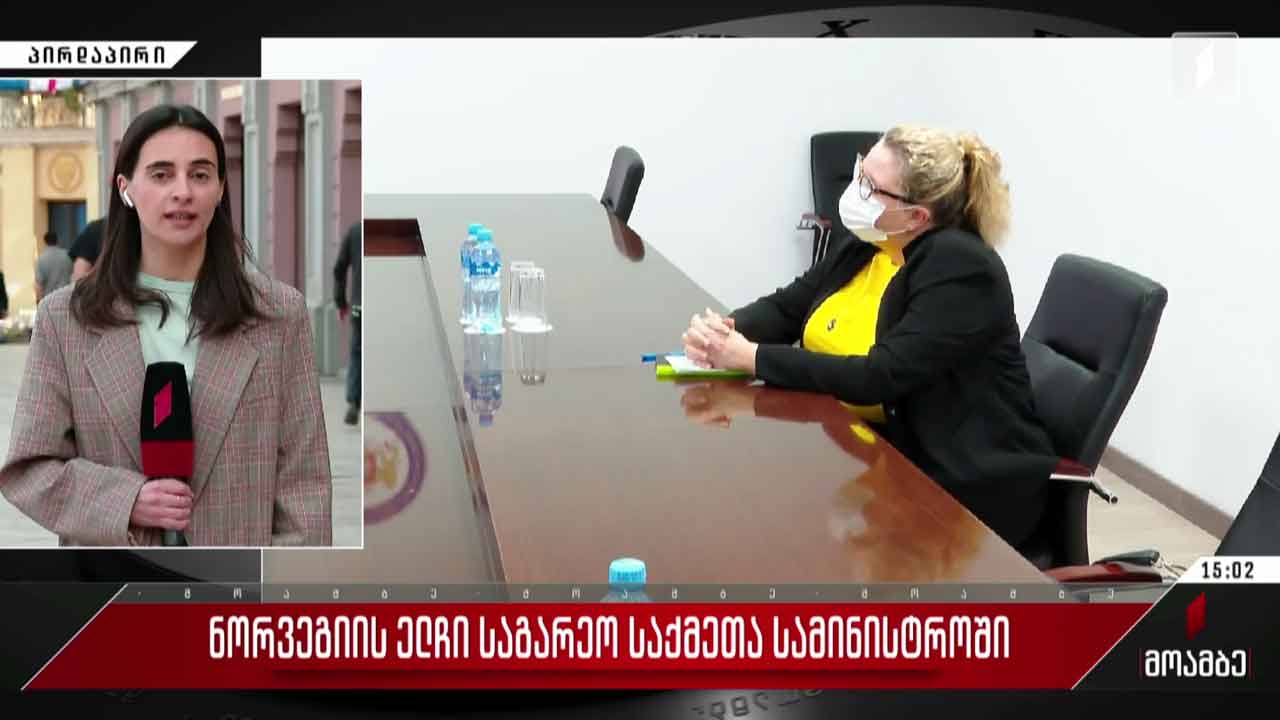 ნორვეგიის ელჩი საგარეო საქმეთა სამინისტროში