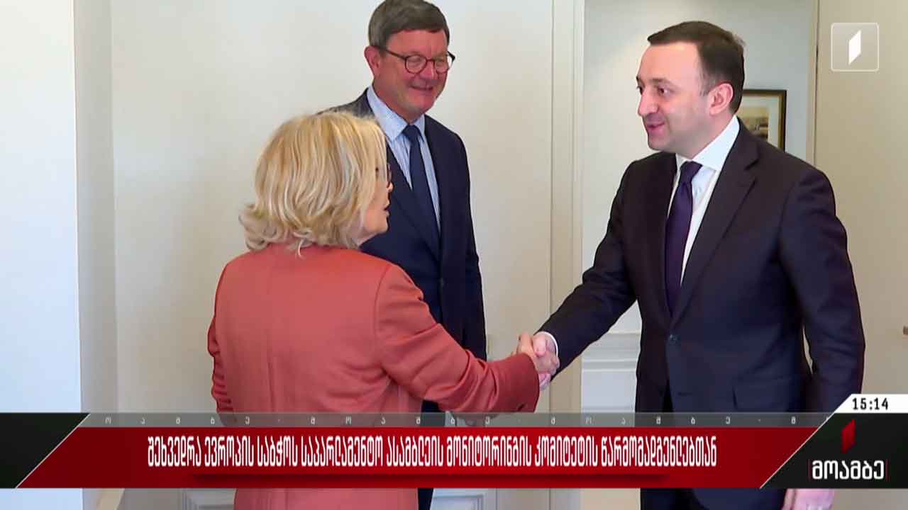 შეხვედრა ევროპის საბჭოს საპარლამენტო ასამბლეის მონიტორინგის კომიტეტის წევრებთან