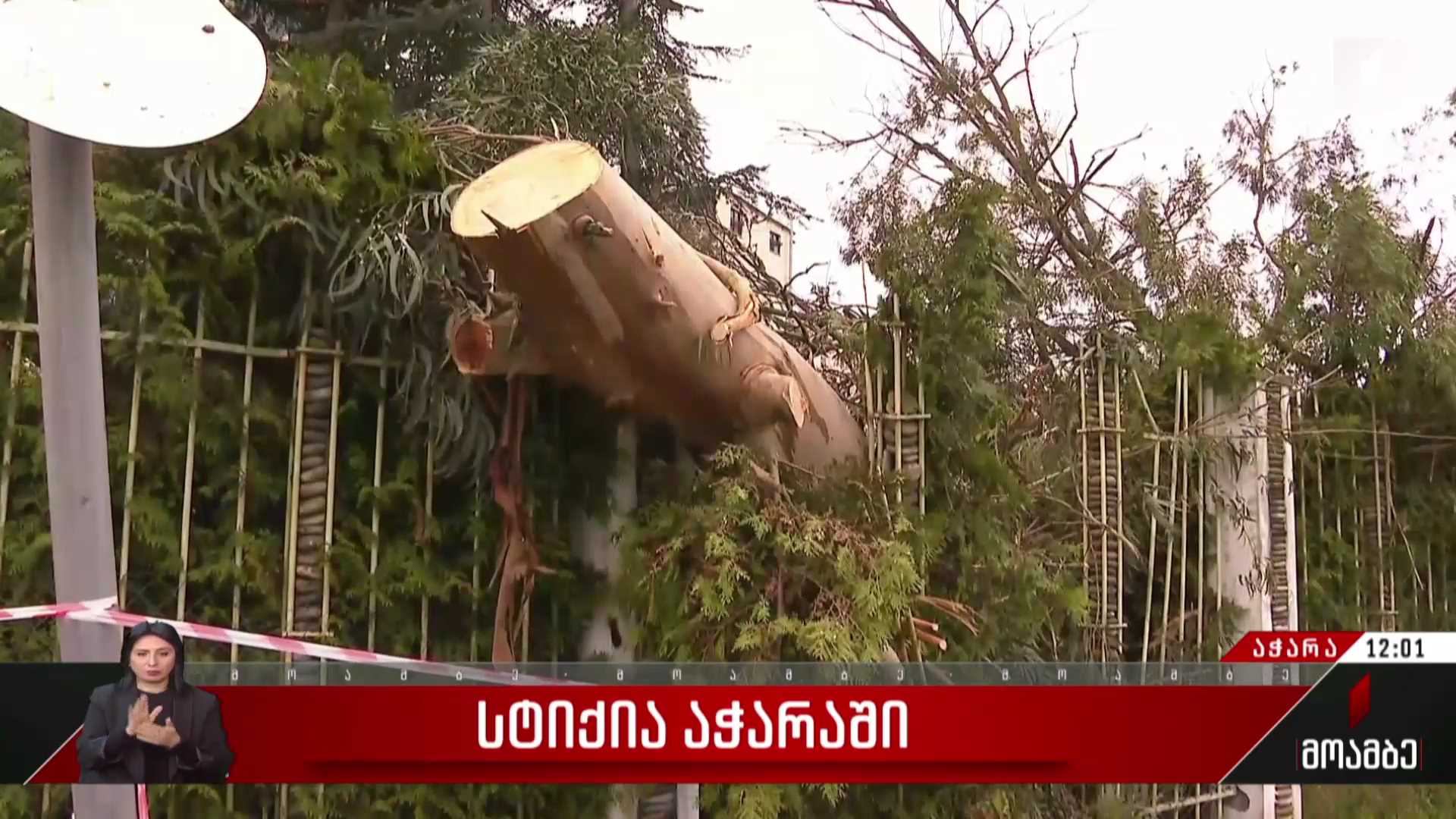 სტიქია აჭარაში