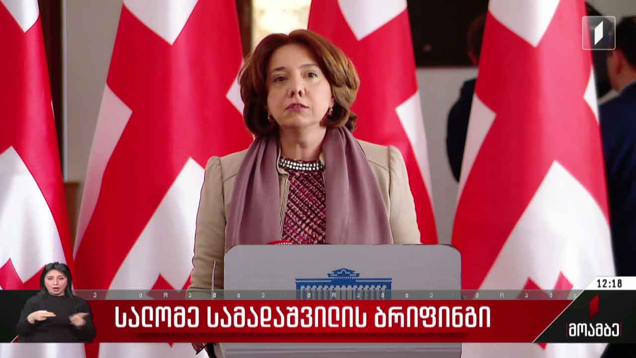 სალომე სამადაშვილის ბრიფინგი
