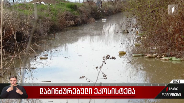 დაბინძურებული ეკოსისტემა