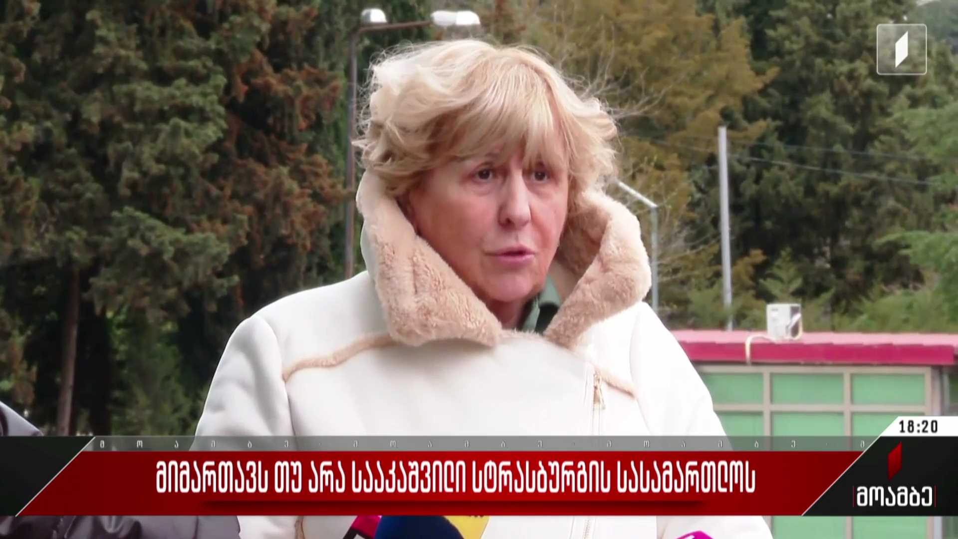 მიმართავს თუ არა სააკაშვილი სტრასბურგის სასამართლოს