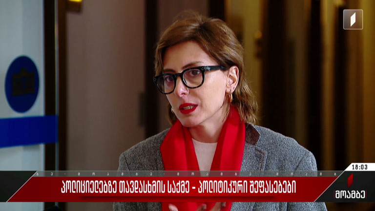 პოლიციელებზე თავდასხმის საქმე - პოლიტიკური შეფასებები