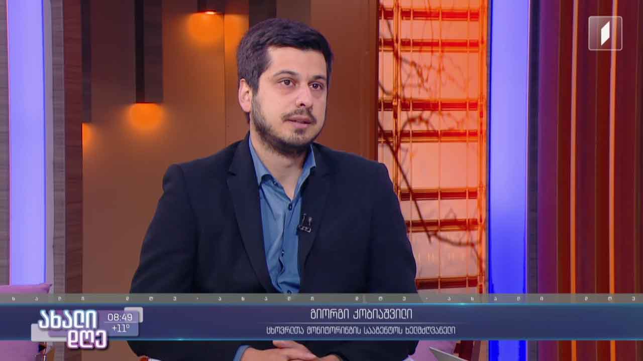 მიუსაფარ ცხოველთა საერთაშორისო დღე