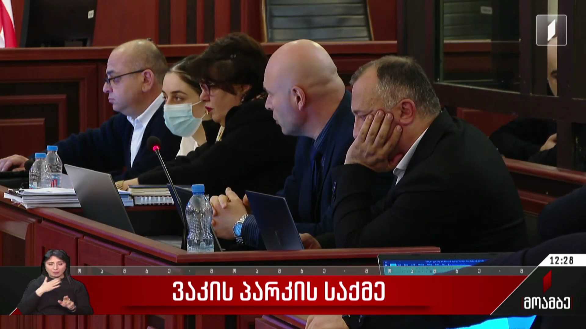 ვაკის პარკის საქმე