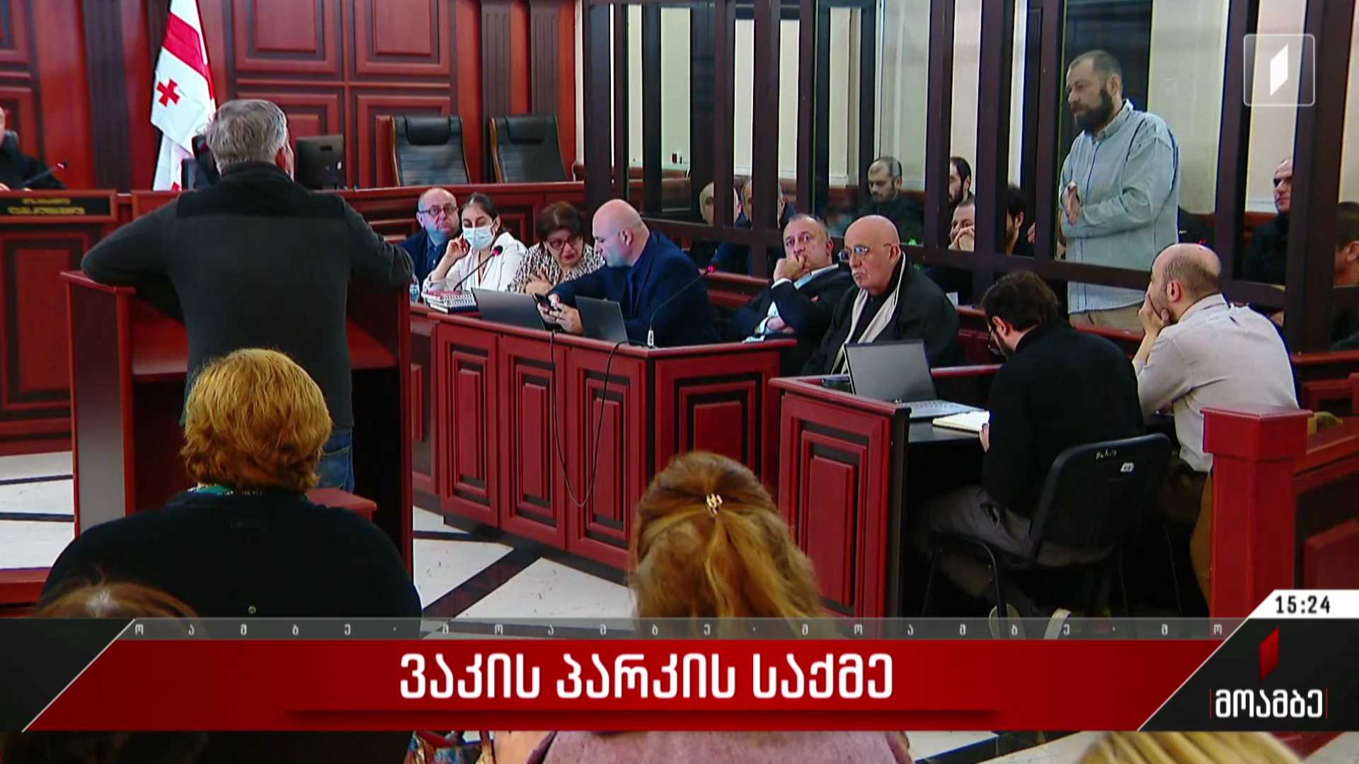 ვაკის პარკის საქმე