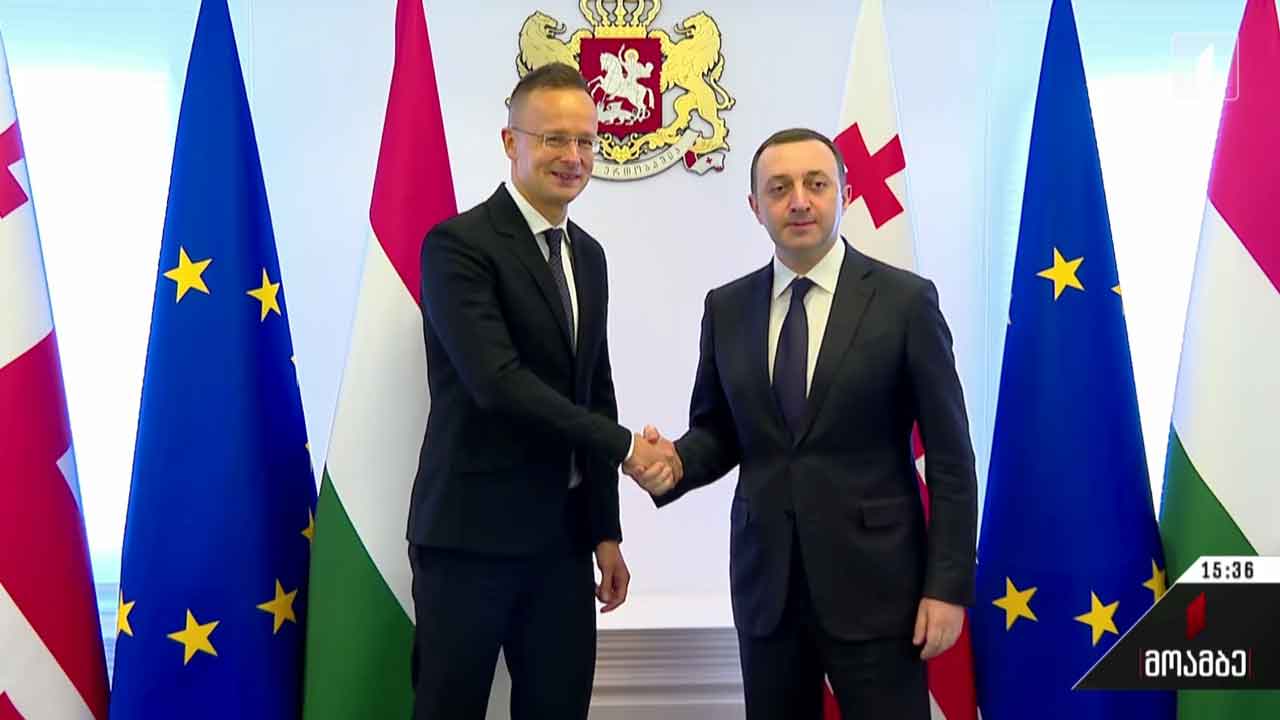 პრემიერი უნგრეთის საგარეო საქმეთა მინისტრს შეხვდა