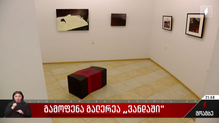 გამოფენა გალერეა „ვანდაში“