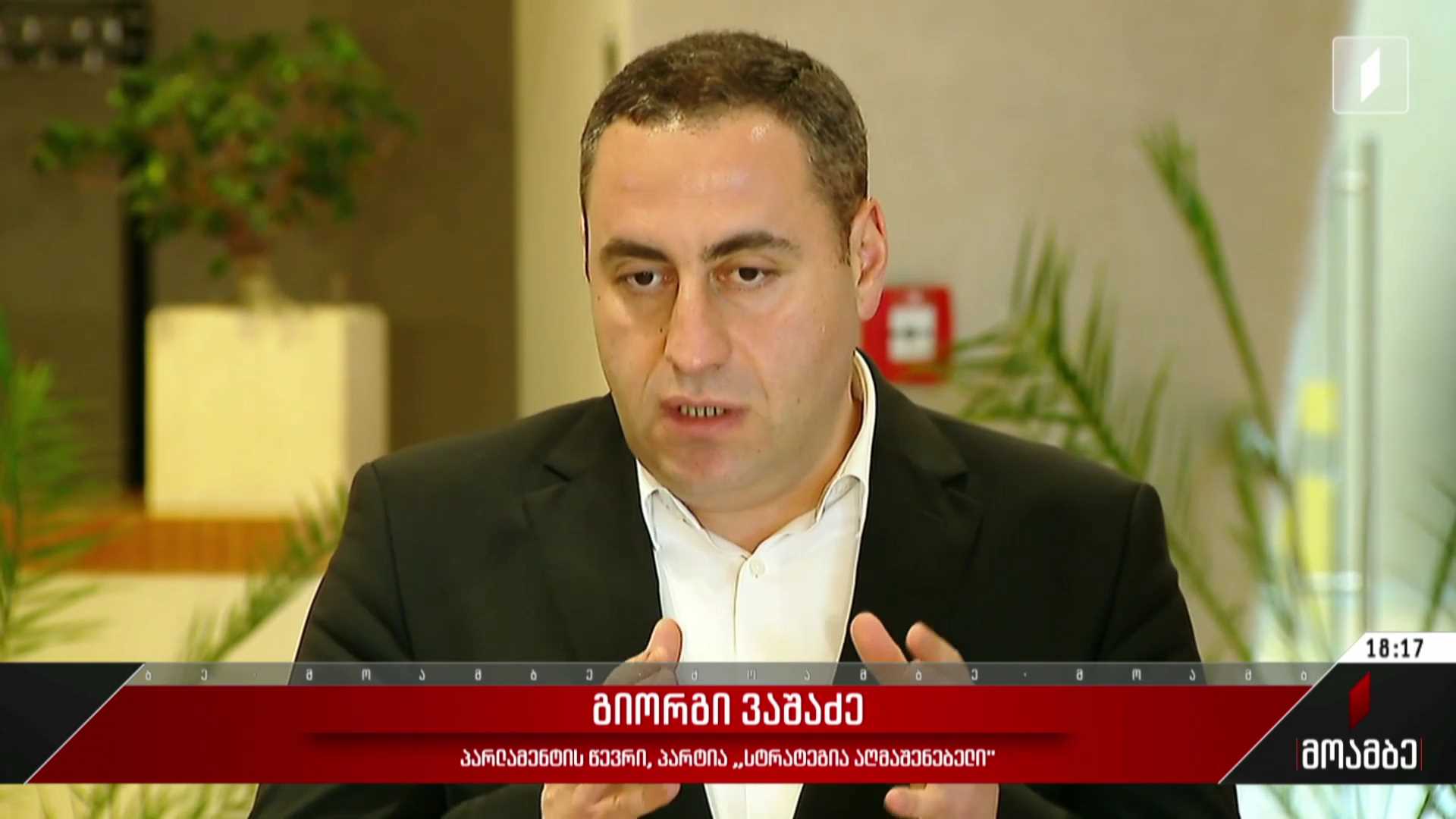 „სტრატეგია აღმაშენებლის“ ყრილობა