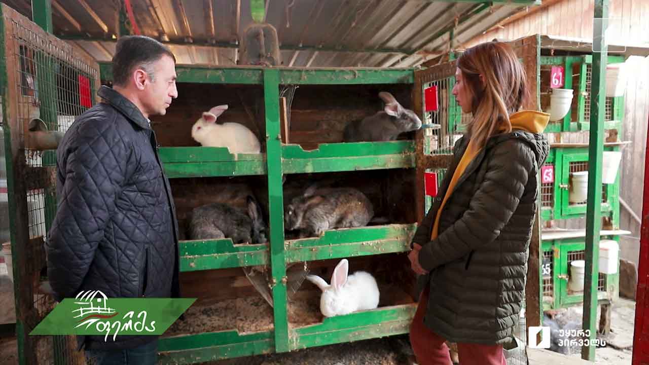 #ფერმა სახელმწიფო კაპელის მომღერლის წარმატებული აგროისტორია
