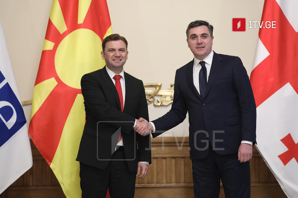 ჩრდილოეთ მაკედონიის საგარეო საქმეთა მინისტრის ვიზიტი