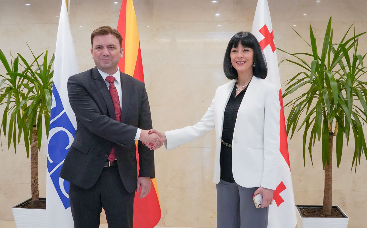 თეა ახვლედიანმა ჩრდილოეთ მაკედონიის საგარეო საქმეთა მინისტრთან, ბუიარ ოსმანისთან შეხვედრა გამართა
