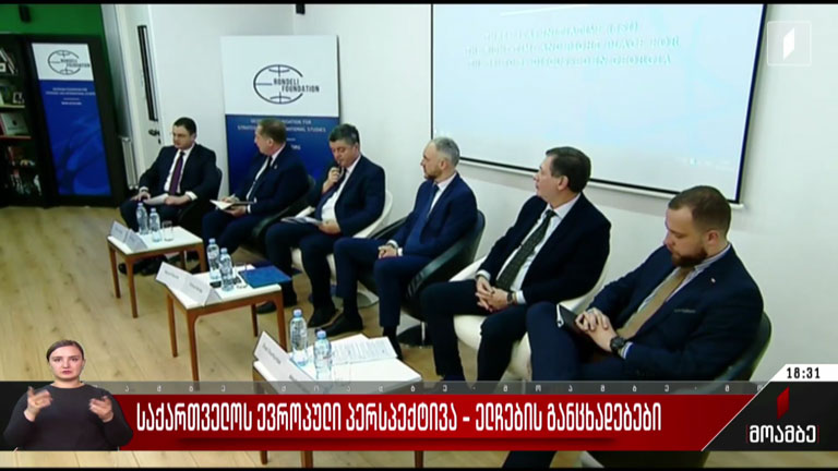 საქართველოს ევროპული პერსპექტივა - ელჩების განცხადებები