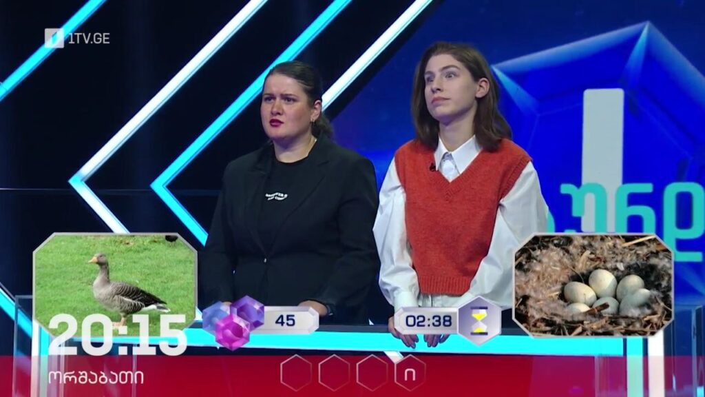 „მარტივი ლოგიკა“ – 17 აპრილს, 20:15