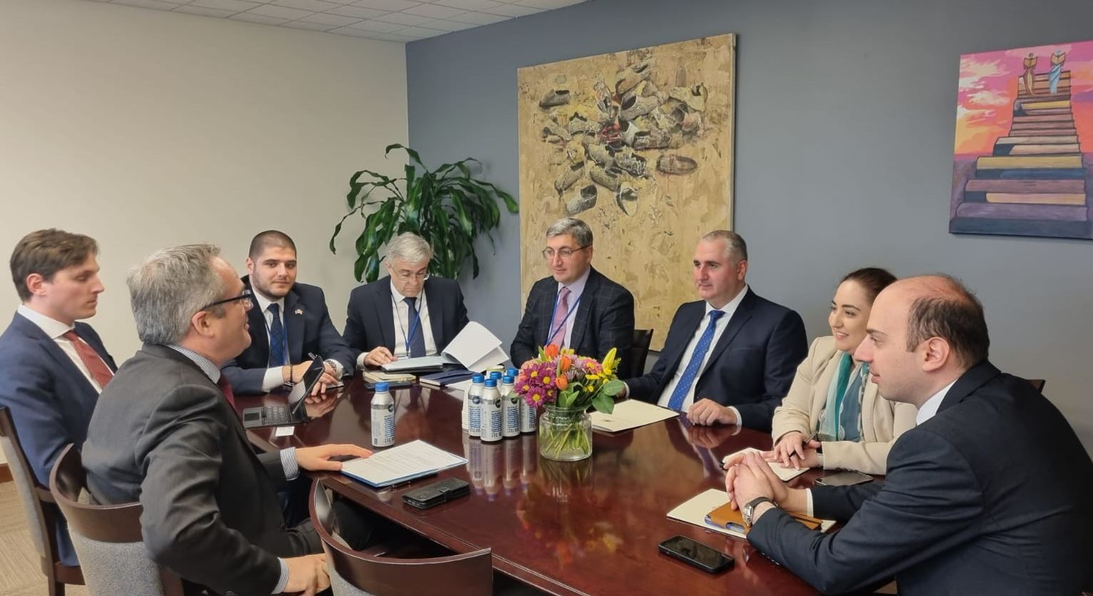 ლაშა ხუციშვილი მსოფლიო ბანკის აღმასრულებელ დირექტორს შეხვდა