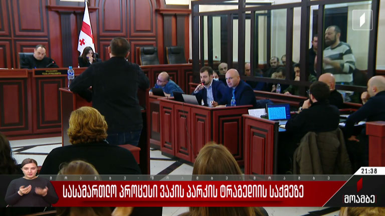 სასამართლო პროცესი ვაკის პარკის ტრაგედიის საქმეზე