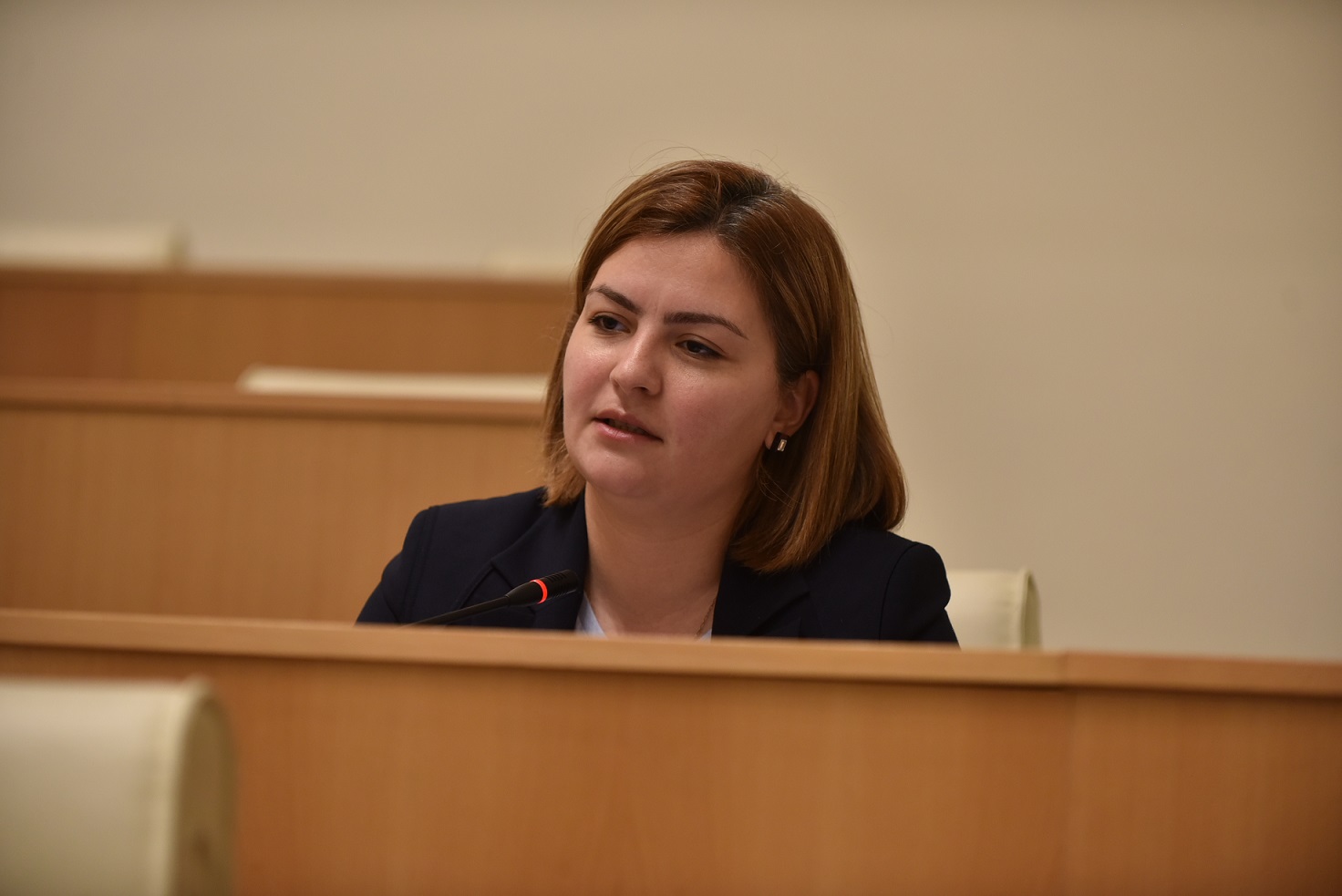 ანა ნაცვლიშვილი - ყველა საკითხზე საუბარი ფუჭი იქნება, თუ ამ ქვეყანას არ ეღირსა დამოუკიდებელი, სამართლიანი და ეფექტიანი სასამართლო