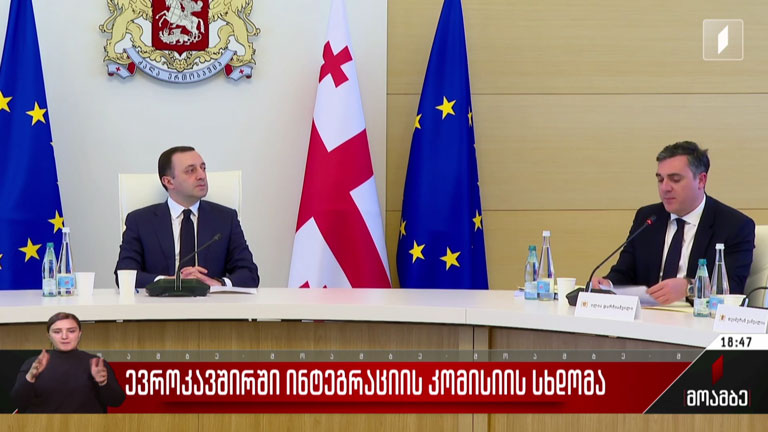 ევროკავშირში ინტეგრაციის კომისიის სხდომა
