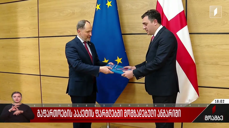 გაფართოების პაკეტის ფარგლებში მომზადებული ანგარიში