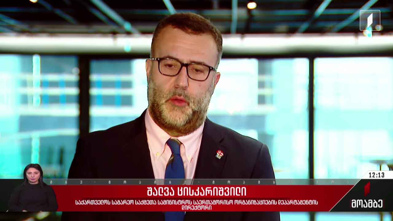 ევროკავშირისა და ევროსაბჭოს პროექტები