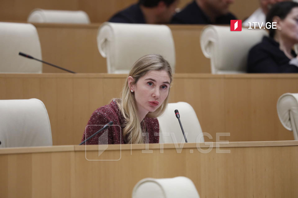თინა ბოკუჩავა უმრავლესობას - ვენეციის კომისიის დასკვნა არის უკიდურესად მძიმე და პირდაპირ მოგიწოდებთ, არ მიიღოთ დეოლიგარქიზაციის კანონი